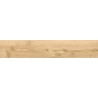 Mexen Lumiere Eiche Probe glasiertes Feinsteinzeug rekt. G1, holzähnliche Fliese für Boden und Wand, matt - TL608-03-S