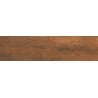 Mexen Oxydart Karamell Probe aus glasiertem Feinsteinzeug rekt. G1, Boden-Wandfliese, Carving - TL710-04-S