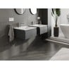 Mexen Orio Badezimmerschrank 50 cm mit Waschbecken Otis, 1 Schublade, Graphit matt/Weiß matt - 91A10-05023-1-BF66-W18M01