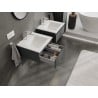 Mexen Orio Badezimmerschrank 50 cm mit Waschbecken Otis, 1 Schublade, Graphit matt/Weiß matt - 91A10-05023-1-BF66-W18M01