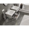 Mexen Orio Badezimmer-Schrank 50 cm mit Waschbecken Vela, 1 Schublade, grau matt/weiß matt - 91A10-05023-1-BF62-W23M01