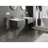 Mexen Orio Badezimmerschrank 50 cm mit Waschbecken Vela, 1 Schublade, Grafit matt/Weiß matt - 91A10-05023-1-BF66-W23M01
