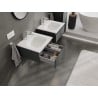 Mexen Orio Badezimmerschrank 50 cm mit Waschbecken Vela, 1 Schublade, Grafit matt/Weiß matt - 91A10-05023-1-BF66-W23M01