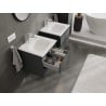 Mexen Orio Badschrank 50 cm mit Waschbecken Vela, 2 Schubladen, Graphit Matt/Weiß Matt - 91A10-05047-2-BFF66-W23M01