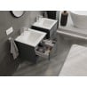 Mexen Orio Badezimmerschrank 50 cm mit Waschbecken Otis, 2 Schubladen, grafit matt/weiß matt - 91A10-05047-2-BFF66-W18M01