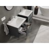 Mexen Orio Badezimmerschrank 60 cm mit Waschbecken Otis, 2 Schubladen, Graphit matt/weiß matt - 91A10-06047-2-BFF66-W18M01