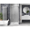 Mexen Linea Schiebetüren für die Dusche 100 cm, transparent, chrom - 8E1-100-000-01-01