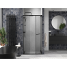 Mexen Linea schiebetüren Dusche 90 cm, transparent, schwarz - 8E1-090-000-70-70