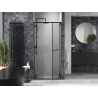 Mexen Linea Schiebetür Dusche 100 cm, transparent, schwarz - 8E1-100-000-70-70