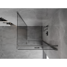 Mexen Mist-F faltbare Duschkabine rechts 100 x 100 cm, transparent, Gun Gray gebürstet - 8A6T-100-100-66-00-P