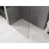 Mexen Kioto-P Duschwand Walk-in 120 x 200 cm, transparent 8 mm, gold - 800-120-101-50-00-P