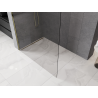 Mexen Kioto-P Duschwand Walk-in 130 x 200 cm, transparent 8 mm, gold - 800-130-101-50-00-P
