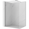 Mexen Kioto-P Duschwand Walk-in 120 x 200 cm, transparent 8 mm, Gun Metal - 800-120-101-95-00-P
