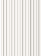 Mexen Strio 02 gerillte Wandpaneele 280 x 14,5 cm (2Stk), weiß - S120-280-02-301